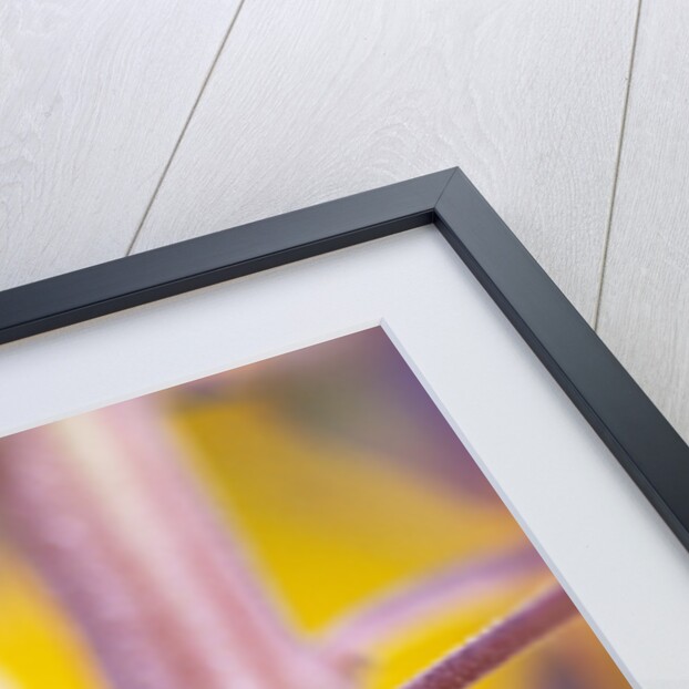 Ladybug Crawling by Anonymous