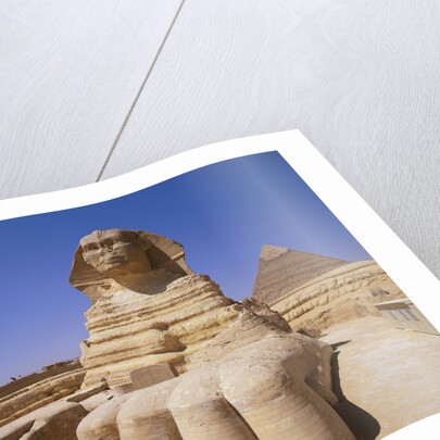 Great Sphinx by Anonymous
