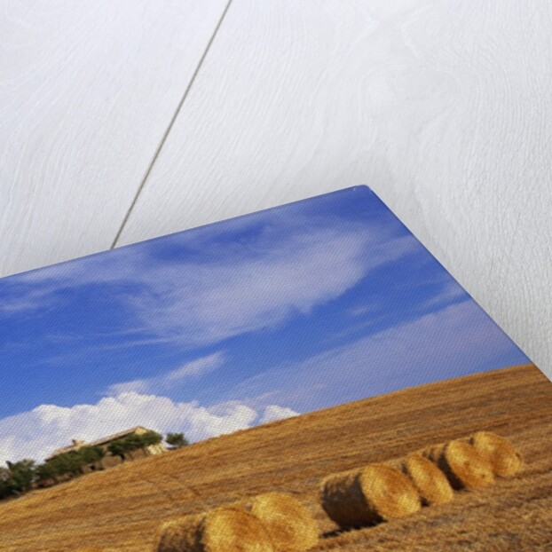 Hay Bales and Farmhouse in Val d'Orcia by Anonymous
