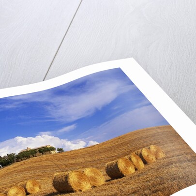 Hay Bales and Farmhouse in Val d'Orcia by Anonymous