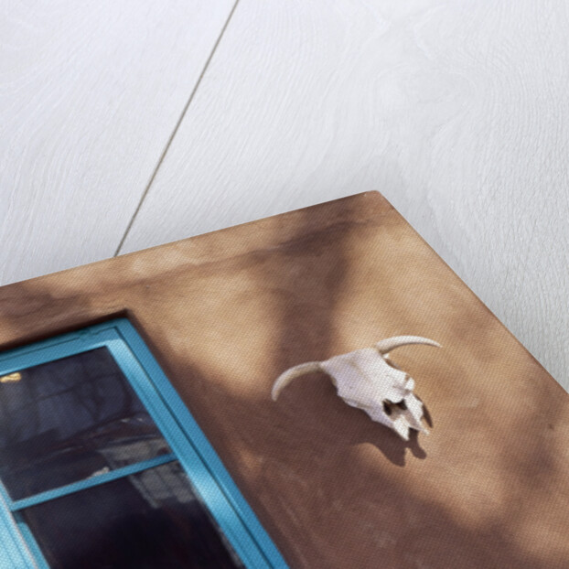 Skull and Window on Adobe Building by Anonymous