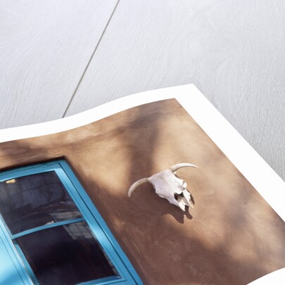 Skull and Window on Adobe Building by Anonymous