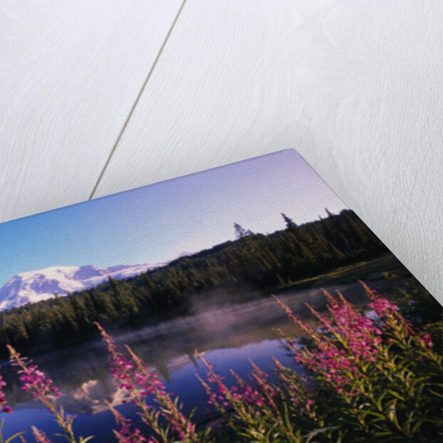 Mount Rainier Reflecting in Lake by Anonymous