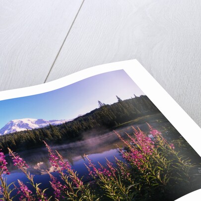 Mount Rainier Reflecting in Lake by Anonymous