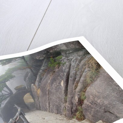 Hillside Path in China's Yellow Mountains by Anonymous