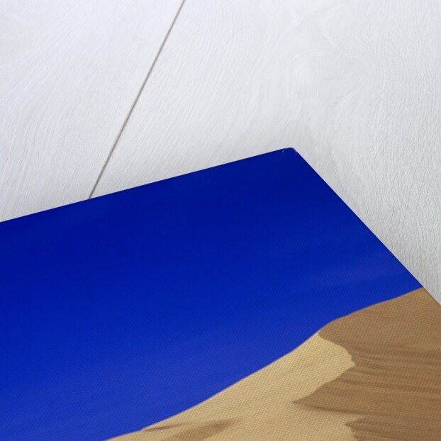Sand Dunes by Anonymous