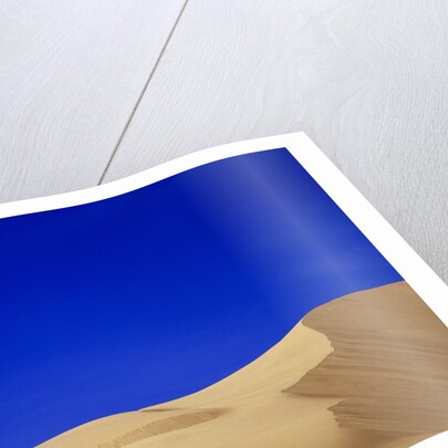 Sand Dunes by Anonymous