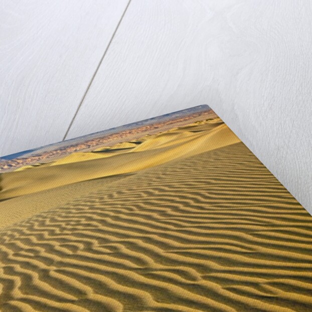 Sand Dunes by Anonymous