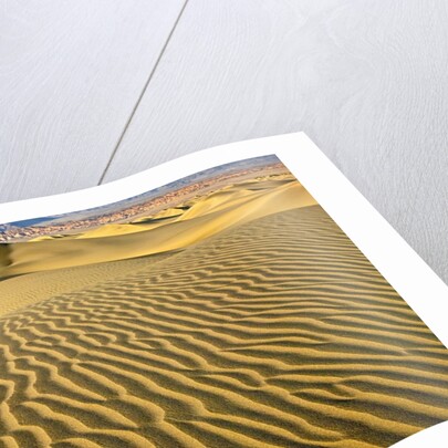 Sand Dunes by Anonymous
