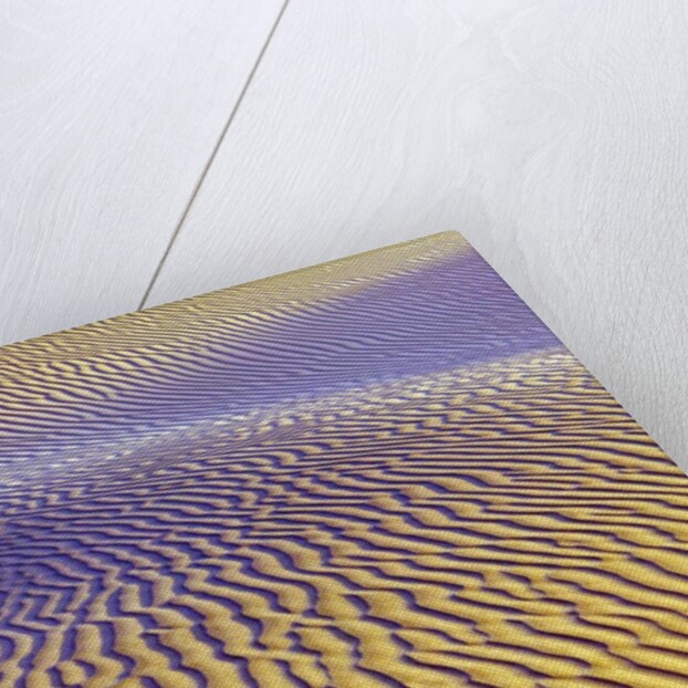 Purple Sand Dunes by Anonymous