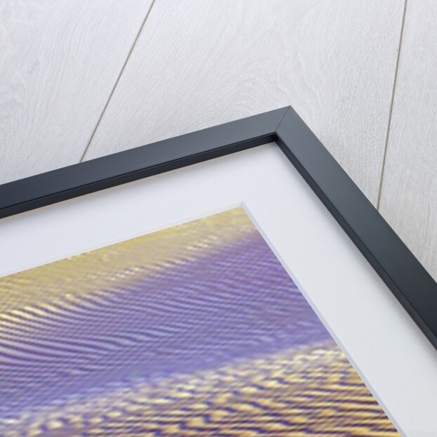 Purple Sand Dunes by Anonymous