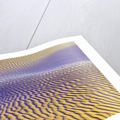 Purple Sand Dunes by Anonymous