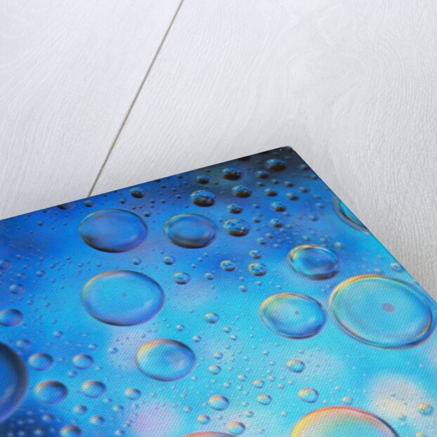Water Drops by Anonymous
