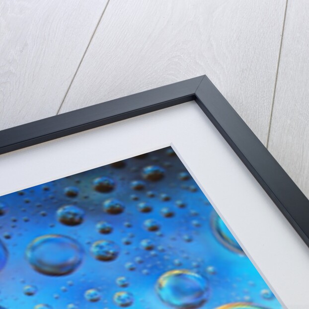 Water Drops by Anonymous