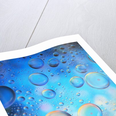 Water Drops by Anonymous