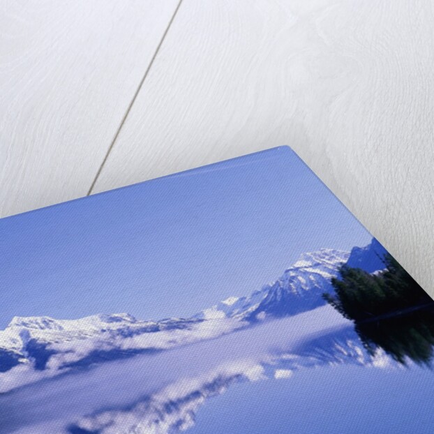 Mountains and Lake McDonald by Anonymous