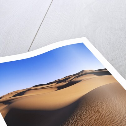 Sahara Desert by Anonymous