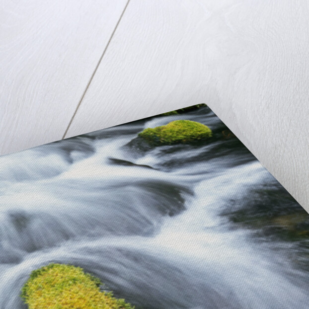 Mossy Rock in Stream by Anonymous