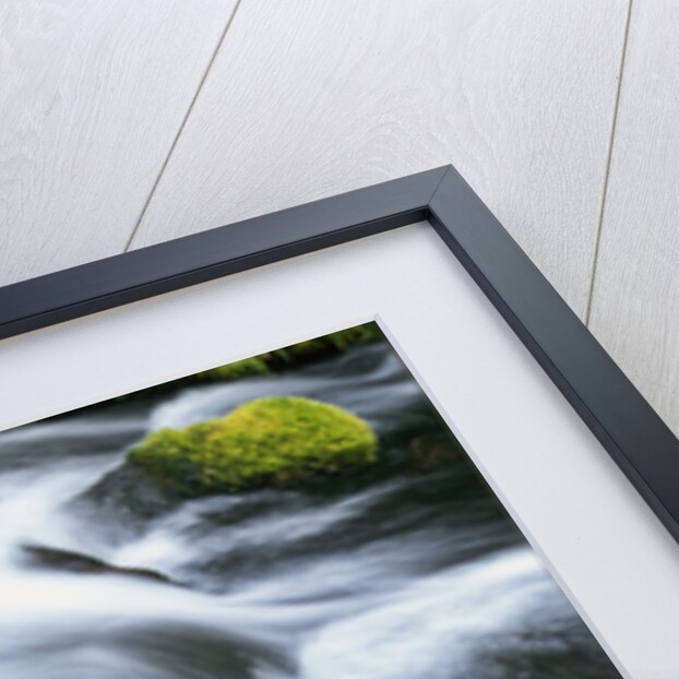 Mossy Rock in Stream by Anonymous