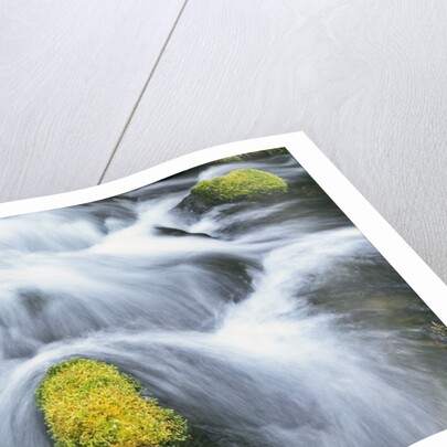 Mossy Rock in Stream by Anonymous