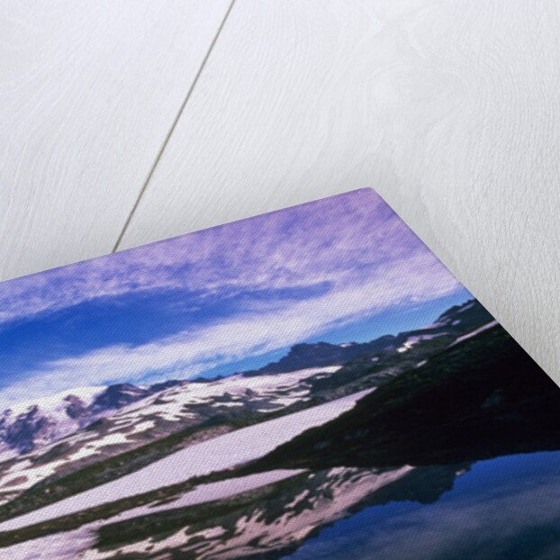 Mount Rainier Reflected in Pond by Anonymous