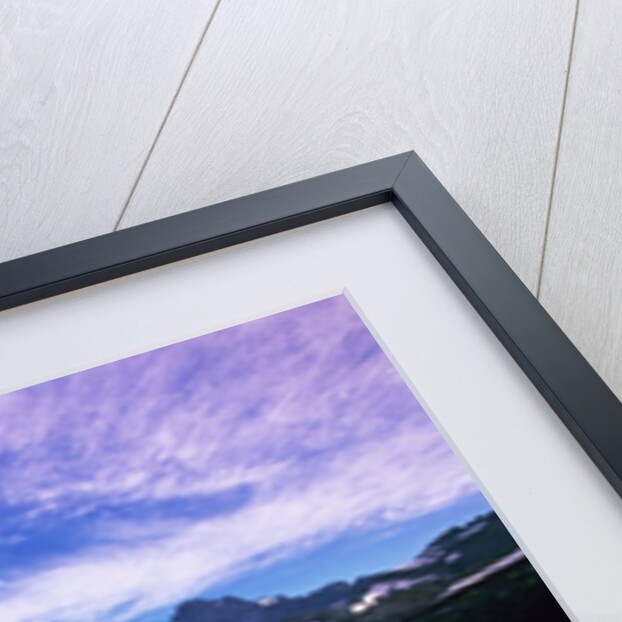 Mount Rainier Reflected in Pond by Anonymous