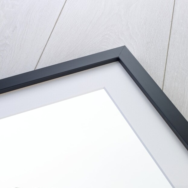 Frog Wearing Beard by Anonymous