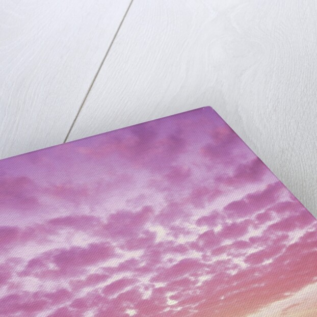 Pink Sunset Over Heceta Beach by Anonymous