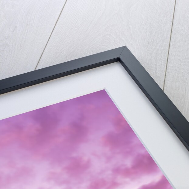 Pink Sunset Over Heceta Beach by Anonymous