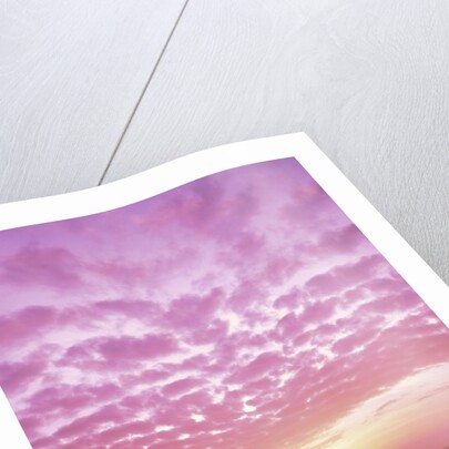 Pink Sunset Over Heceta Beach by Anonymous