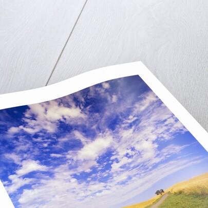 Wispy Clouds Floating over Farm Fields by Anonymous