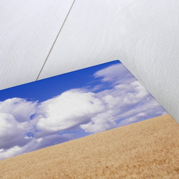 Cumulus Clouds Floating over Wheat Fields by Anonymous