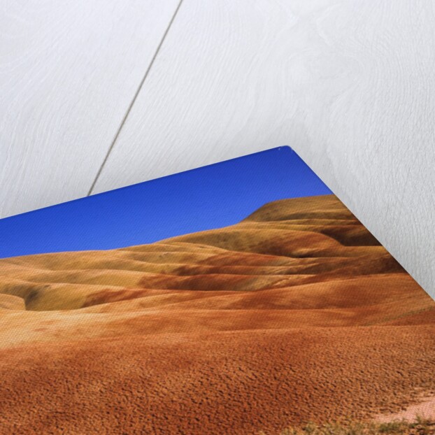 Oregon's Painted Hills by Anonymous
