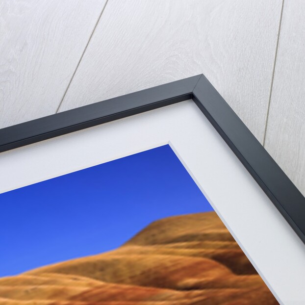 Oregon's Painted Hills by Anonymous