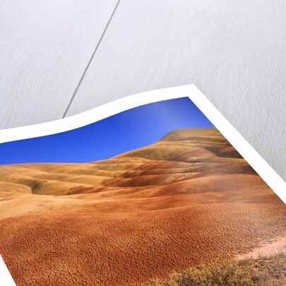 Oregon's Painted Hills by Anonymous