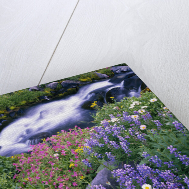 Wildflowers Blooming Along Rushing Creek by Anonymous