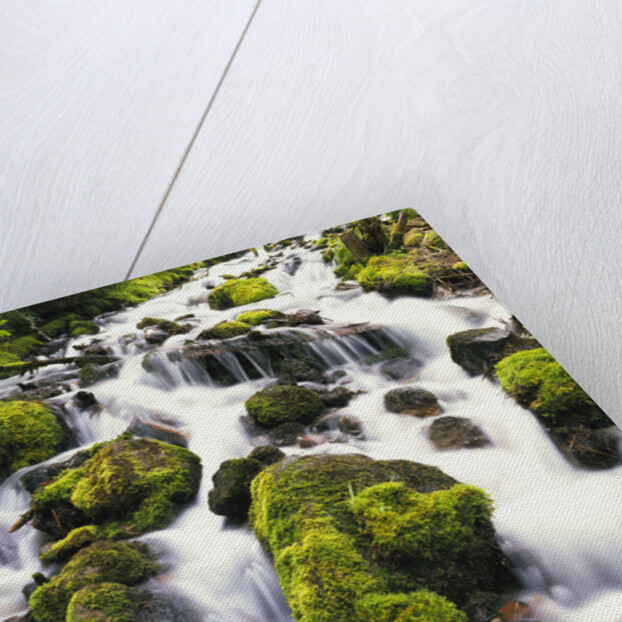 Mossy Rocks in Rushing Stream by Anonymous