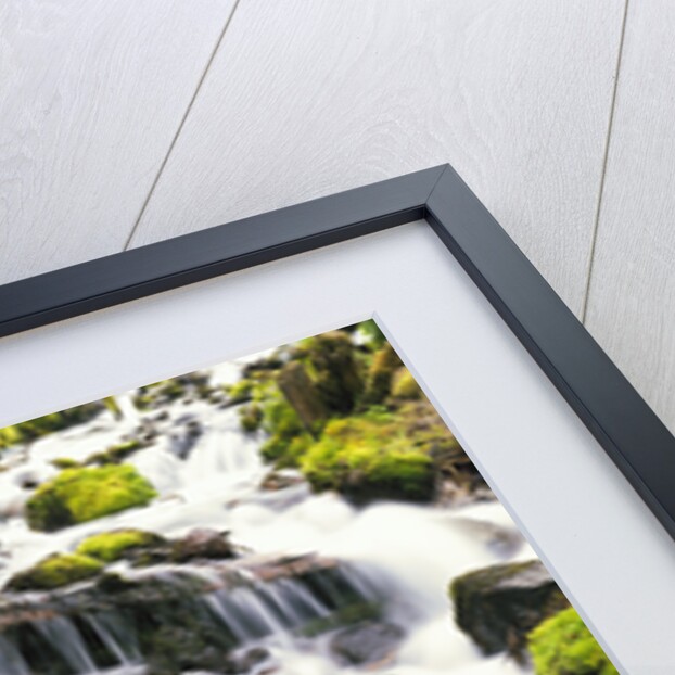 Mossy Rocks in Rushing Stream by Anonymous