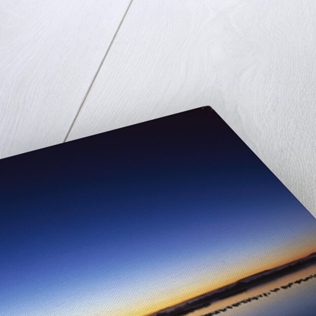 Sunset over Snow Geese on Water by Anonymous