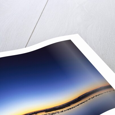 Sunset over Snow Geese on Water by Anonymous