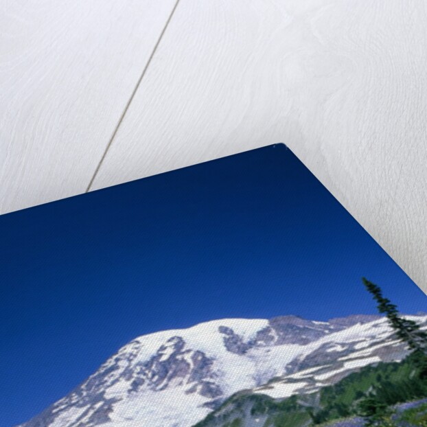 Mount Rainier and Wildflower Meadow by Anonymous