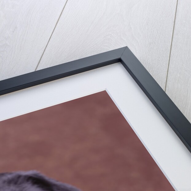 Black Lab Puppy in Basket by Anonymous