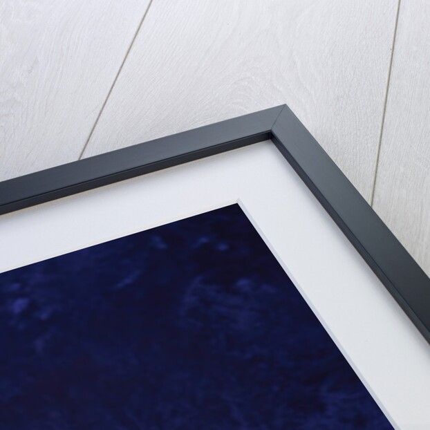 Snow Covering Adirondack Chairs by Lit Christmas Tree by Anonymous