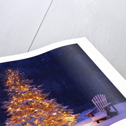 Snow Covering Adirondack Chairs by Lit Christmas Tree by Anonymous