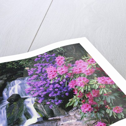 Waterfall in Crystal Springs Garden by Anonymous