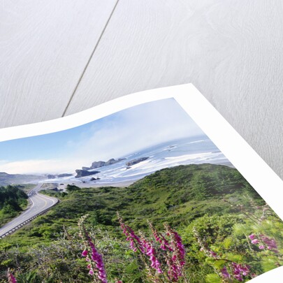 Coastal Foliage and Highway by Anonymous