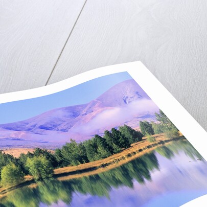 Lake Reflecting Trees Against Mountains by Anonymous