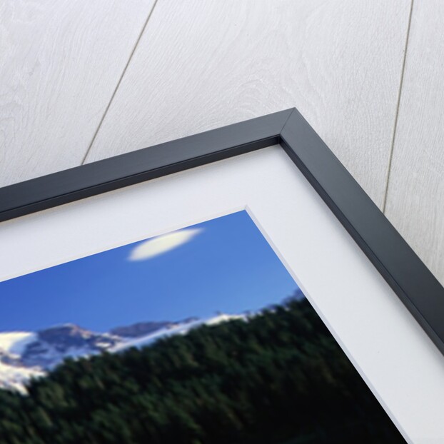 Reflection Lake and Mount Rainier by Anonymous