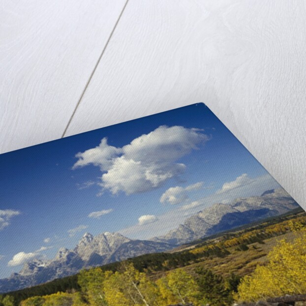 Fence Bordering Ranch Near the Teton Range by Anonymous