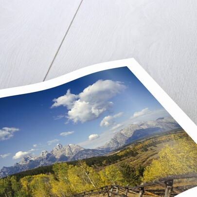 Fence Bordering Ranch Near the Teton Range by Anonymous